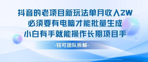 老项目新玩法单月收入2W小白有手就能操作长期项目-木石资源网