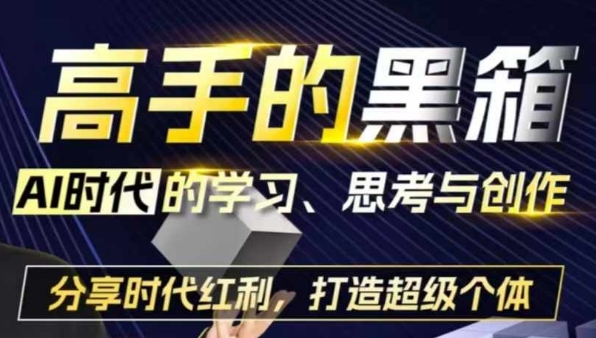 高手的黑箱：AI时代学习、思考与创作-分红时代红利，打造超级个体-木石资源网