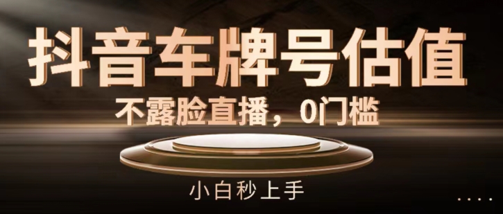 抖音车牌号估值，不露脸直播，0门槛，小白秒上手【揭秘】-木石资源网