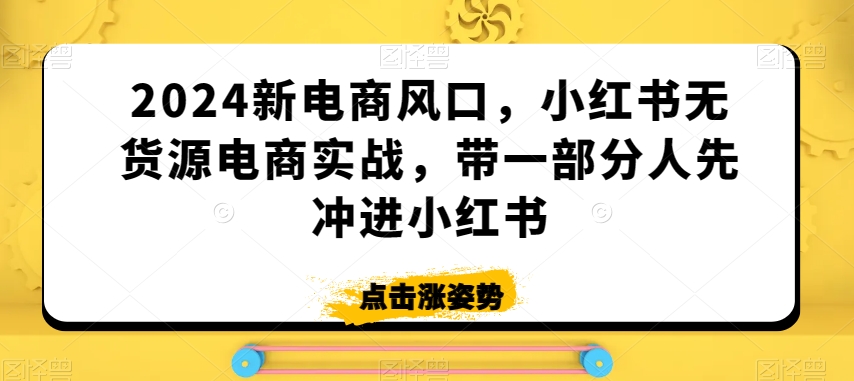 2024新电商风口，小红书无货源电商实战，带一部分人先冲进小红书-木石资源网