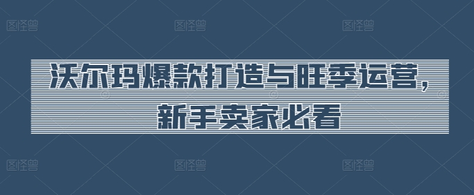 沃尔玛爆款打造与旺季运营，新手卖家必看-木石资源网