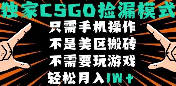 CSGO自动捡漏项目，最新独家玩法，不是美区搬砖，不需要了解和玩游戏，新手小白轻松月入1W+【揭秘】-木石资源网