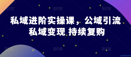 私域进阶实操课，公域引流 私域变现 持续复购-木石资源网