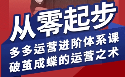 拼多多运营进阶系统课，从零起步，多多运营进阶体系课，破茧成蝶的运营之术-木石资源网
