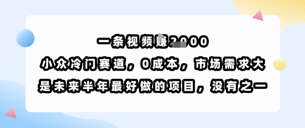 一条视频挣1k，小众冷门赛道，0成本，市场需求大，是未来半年最好做的项目，没有之一-木石资源网