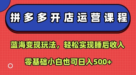拼多多开店运营课程：蓝海变现玩法，轻松实现睡后收入，零基础小白也可日入5张-木石资源网