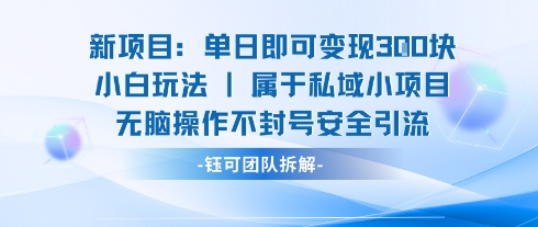 新项目单日即可变现3张的小白玩法无脑操作不封号安全引流-木石资源网
