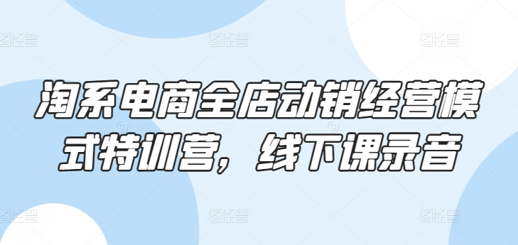 淘系电商全店动销经营模式特训营，线下课录音-木石资源网