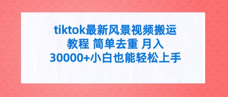 tiktok最新风景视频搬运教程 简单去重 月入3W+小白也能轻松上手【揭秘】-木石资源网