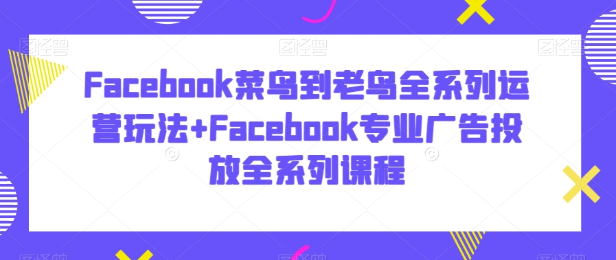 Facebook菜鸟到老鸟全系列运营玩法+Facebook专业广告投放全系列课程-木石资源网
