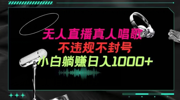 抖音24小时无人直播音乐，不违规，不封号纯撸音浪，小白实操当天日入1000+【揭秘】-木石资源网