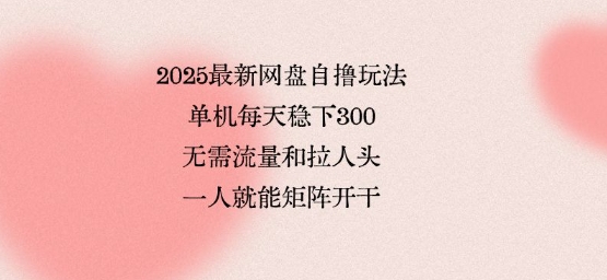 2025最新网盘自撸玩法，单机每天稳下3张，无需流量和拉人头，一个人就可轻松矩阵，全网独一份【揭秘】-木石资源网