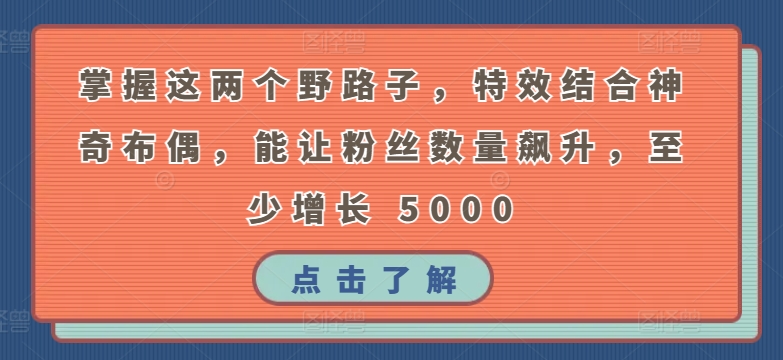 掌握这两个野路子，特效结合神奇布偶，能让粉丝数量飙升，至少增长 5000【揭秘】-木石资源网