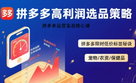 拼多多选品暴利技术实战课，拼多多高利润选品策略，拼多多限时低价标签秘诀-木石资源网