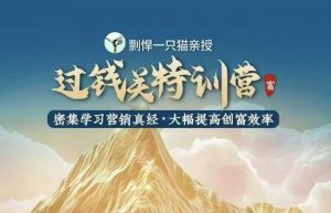 剽悍一只猫-过钱关特训营，学习营销真经 大幅度提高创富效率-木石资源网