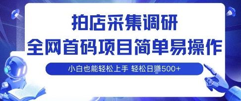 拍店采集调研，全网首码项目，简单易操作， 小白也能轻松上手，多账号操作，轻松日入5张【揭秘】-木石资源网