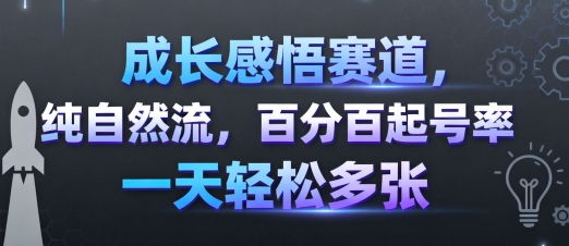 成长感悟赛道，纯自然流，百分百起号率 一天轻松多张-木石资源网