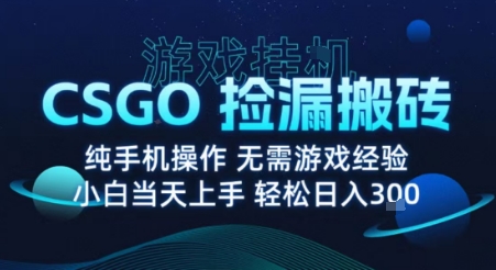 8月最新游戏搬砖，CSGO纯挂G，不需要玩游戏，实现真挂G，月入1W+【揭秘】-木石资源网