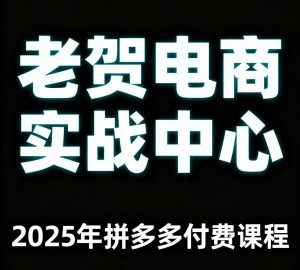 老贺电商2025年拼多多付费课程，用通俗易懂的方法告诉你多多怎么玩-木石资源网