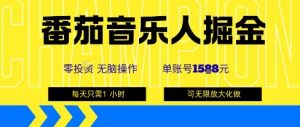 番茄音乐人掘金，单账号最高可撸1k+，可无限矩阵去做，零投入-木石资源网