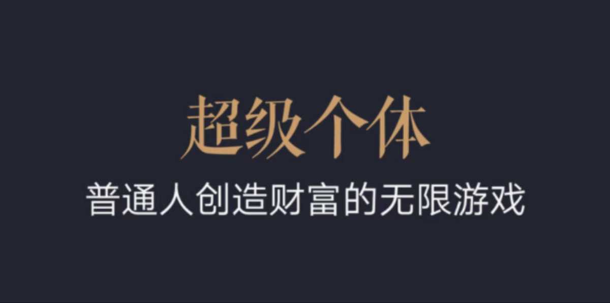 超级个体：2024-2025翻盘指南，普通人创造财富的无限游戏-木石资源网