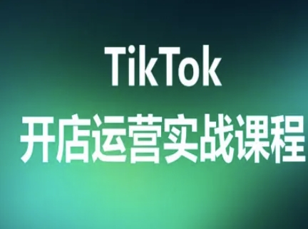 TikTok开店运营实战课程，TK跨境电商实操全流程-木石资源网