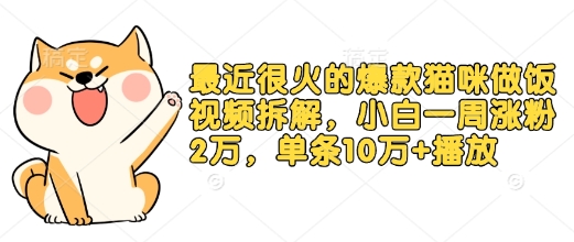最近很火的爆款猫咪做饭视频拆解，小白一周涨粉2万，单条10万+播放(附保姆级教程)-木石资源网