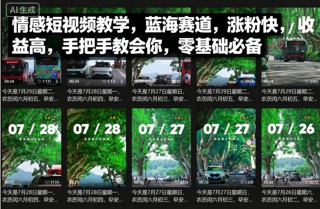 情感短视频教学，蓝海赛道，涨粉快，收益高，手把手教会你，零基础必备-木石资源网