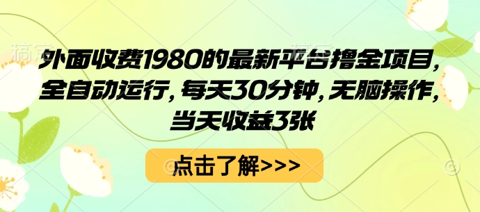 外面收费1980的最新平台撸金项目，全自动运行，每天30分钟，无脑操作，当天收益3张【揭秘】-木石资源网