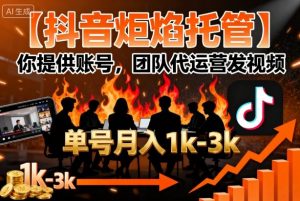 【抖音炬焰托管】你提供账号，团队代运营发视频，单号月入1k+【揭秘】-木石资源网