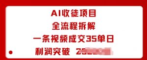 AI收徒项目全流程拆解一条视频成交35单日利润突破1k+-木石资源网