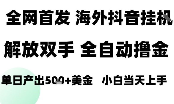 海外抖音无人直播，单日产出1.5k+，长期稳定，新手可玩，无脑操作【揭秘】-木石资源网