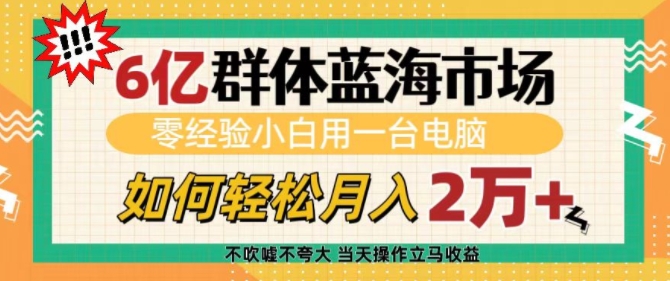 6亿群体蓝海市场，零经验小白用一台电脑，如何轻松月入过w【揭秘】-木石资源网