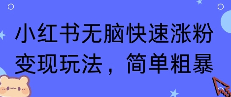 小红书无脑快速涨粉变现玩法，简单粗暴-木石资源网