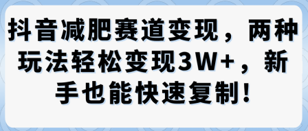 抖音减肥赛道变现，两种玩法轻松变现3W+，新手也能快速复制-木石资源网