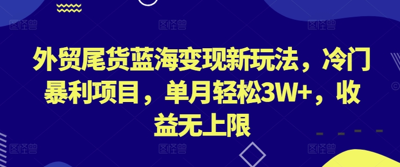 外贸尾货蓝海变现新玩法,冷门暴利项目,单月轻松3W+,收益无上限【揭秘】