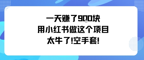一天挣了9张用小红书做这个项目太牛了，空手套-木石资源网