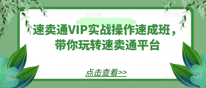 速卖通VIP实战操作速成班，带你玩转速卖通平台-木石资源网