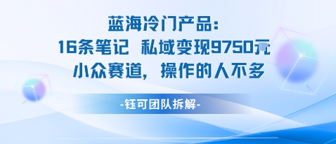 蓝海项目：16条笔记私域变现9750米小众赛道操作的人不多-木石资源网