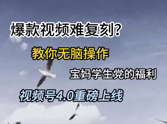视频号4.0重磅上线，爆款视频难复刻？教你无脑操作宝妈学生党的福利【揭秘】-木石资源网