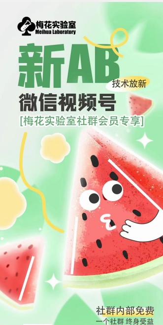 梅花实验室2024年AB技术视频号AB合成破解版-木石资源网