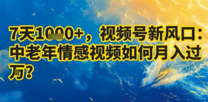 7天收益1k+，视频号新风口：中老年情感视频如何月入过W?-木石资源网