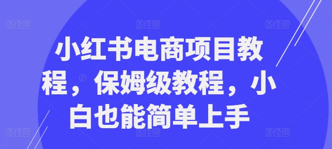 小红书电商项目教程，保姆级教程，小白也能简单上手-木石资源网