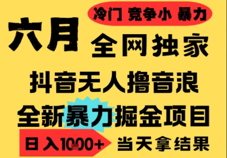 25年6月高爆抖音无人直播最新撸音浪掘金项目，小白可做，无脑日入1k+，门槛低可批量矩阵【揭秘】-木石资源网
