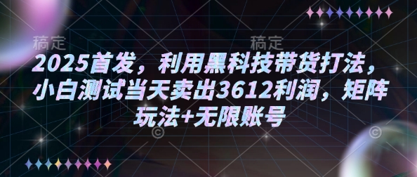 2025首发，利用黑科技带货打法，小白测试当天卖出3612利润，矩阵玩法+无限账号【揭秘】-木石资源网