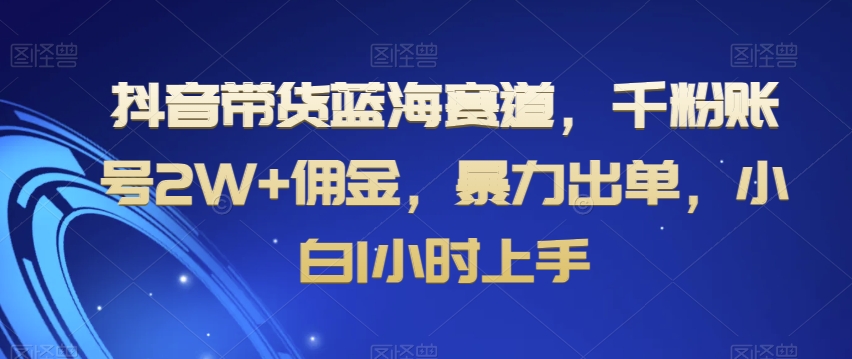 抖音带货蓝海赛道，千粉账号2W+佣金，暴力出单，小白1小时上手【揭秘】-木石资源网