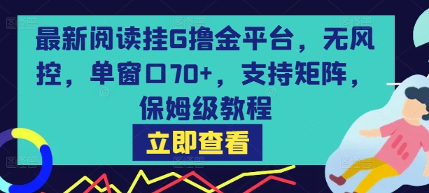 最新阅读挂G撸金平台，无风控，单窗口70+，支持矩阵，保姆级教程【揭秘】-木石资源网