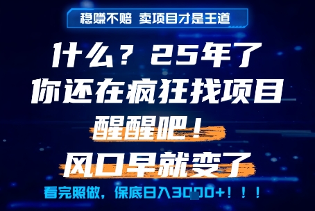 什么?25年你还在疯狂找项目做,醒醒吧,看完这些你全都懂了!【揭秘】