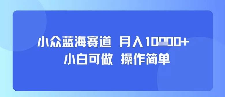 小众蓝海赛道，小白可做，操作简单，每天30分钟，月入1W+-木石资源网
