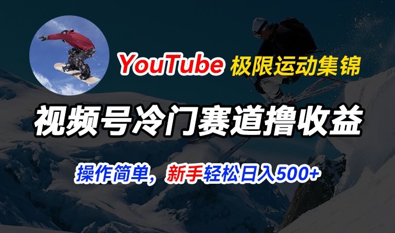 视频号冷门赛道撸收益，YouTube搬运极限运动集锦，暴力起号，操作简单流量高，轻松日入5张【揭秘】-木石资源网